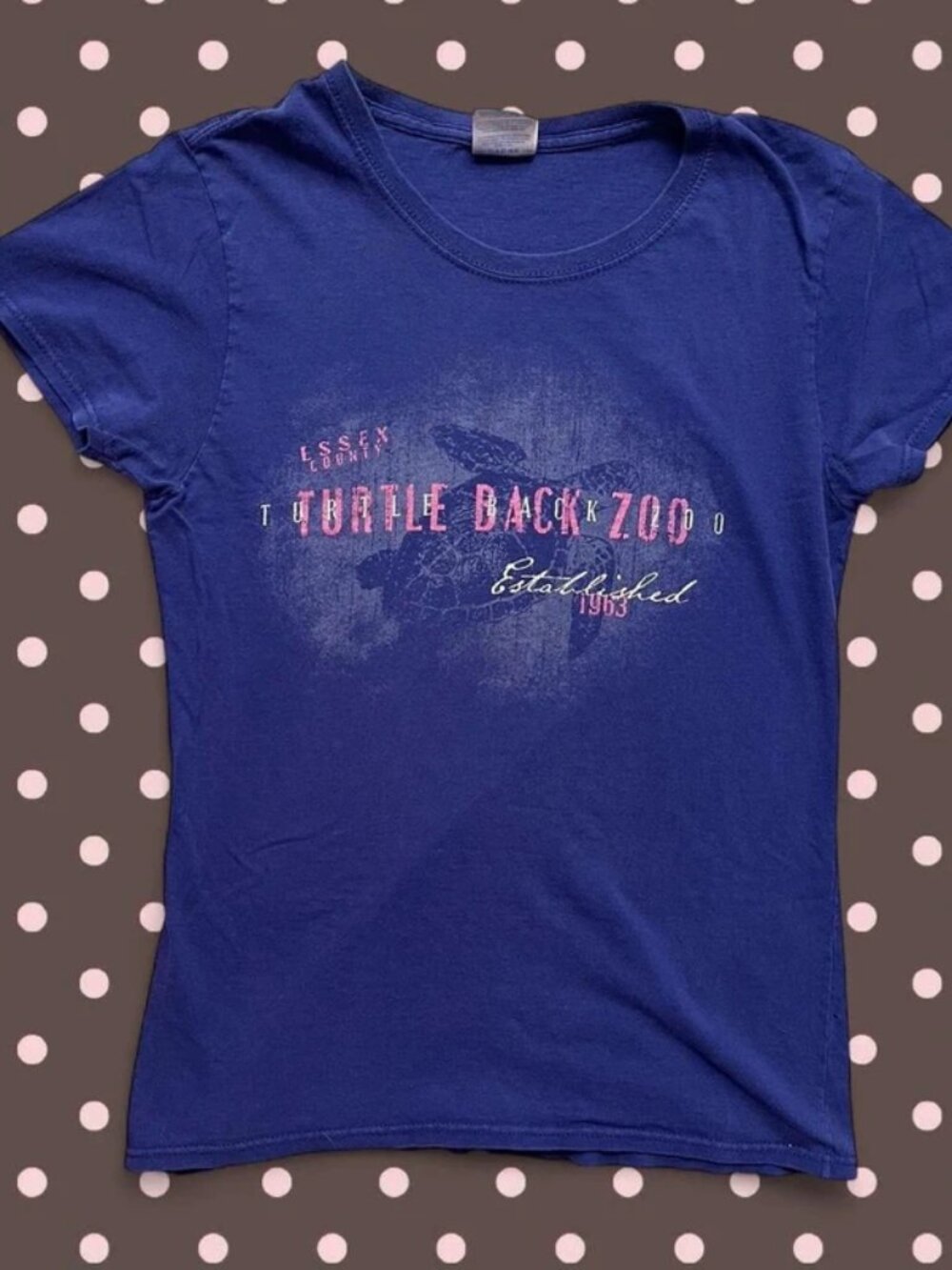 Indigo Turtle Back Zoo graphic baby tee
